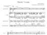 transcribe 8bit, synth videogame music