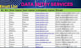 do data entry, web research, data mining and data collection