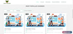crafting stunning and responsive websites