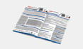 do professional, government,  capability statement design