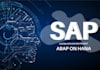 develop  abap programs, odata service, alv reports, cds views