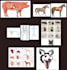 do medical and scientific illustrations