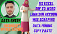 do data entry, convert, excel dashboard, and web research