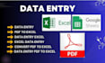 do professional data entry,PDF conversion, excel sheet