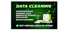do excel data cleaning, excel spreadsheet clean up with your perfect expectation