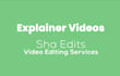 make 2d explainer videos and animated video ads