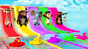 create 3d kids cartoon video and 3d kids rhymes