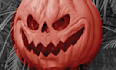 create a halloween greetings video
