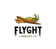 design a professional modern airplane logo
