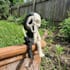 create an articulated 3d model or flexi toy for 3d printing