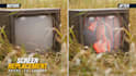 do vfx screen replacement for phone, TV or laptop with motion tracking