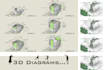 create site analysis, design process and exploded diagram