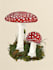 create a hand drawn botanical illustration in naturalistic style