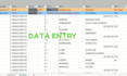 do excel data entry, web research, copy paste