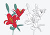 create amazing botanical vector line art illustration