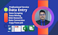do web research data entry word  excel copy paste etc