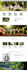 convert PSD to HTML
