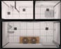 create dialux evo lighting design, lux calculation and layout autocad