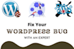fix wordpress website html css php and bugs issue