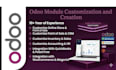 customize, develop, and implement odoo erp custom modules