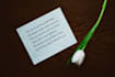 write a deeply personal and emotional letter that speaks from the heart