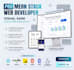 design a professional mern web application for your business