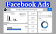 set up professional facebook advertising campaigns