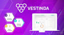 optimize nocode trading strategy creation with vestinda