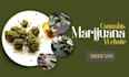 create cbd, hemp, weed cannabis marijuana landing page cannabis website