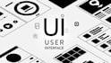 design and build killer webflow wordpress custom websites