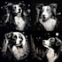 create custom ai art using midjourney within 24 hours