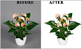 background remove and photoshop edit