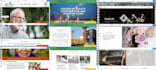 create full professional wix website, redesign wix, wix ecommerce too