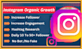 instagram promotion and super fast organic growth