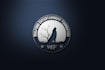 make professional, modern, brand, and gaming logo for you