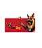 design remarkable popularity coin dog logo