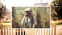 create any memorial photo slideshow video funeral video
