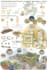 do architectural diagrams, concept sketches, and collages