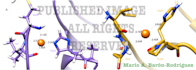 perform protein simulations with expertise