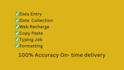do fast any data entry accurately for you in low price