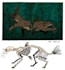create custom hand drawn creature or hybrid designs and concept art
