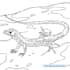 create a custom line art, clipart or coloring pages