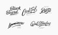 design a premium hand lettering logo