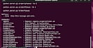 web scraping, data scraping, python developer