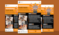 design handyman,solar,roofing, electrician,carpentry,construction flyer