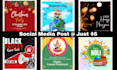 be your professional social media manager