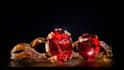 create professional 3d product animation and 3d product