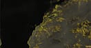 do any map with 3d motion tracking