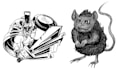 draw a custom line art illustration or portrait