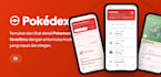 do mobile app development with flutter